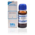 AMMI VISNAGA Mother Tincture Ø