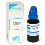 ANDROGRAPHIS PANICULATA Mother Tincture Ø 100ml