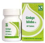 Dr Willmar Schwabe Ginkgo Biloba 1x Mt Tablet 20gm