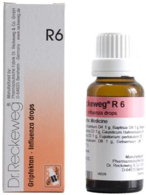 Dr. Reckeweg R6 Influenza Drop Oral Drops
